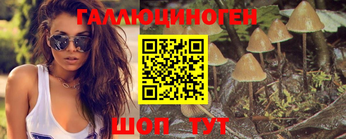 Галлюциногенные грибы MAGIC MUSHROOMS  Псилоцибиновые грибы MAGIC MUSHROOMS  Удомля  Вход с VPN 